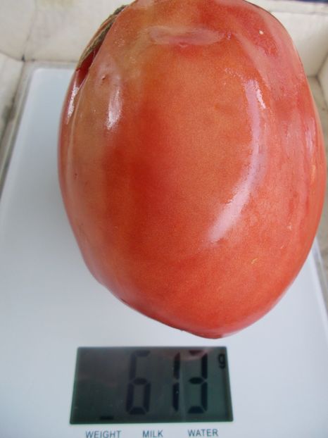  - SEMINTE ROSII - T 803 WORK RELEASE PASTE