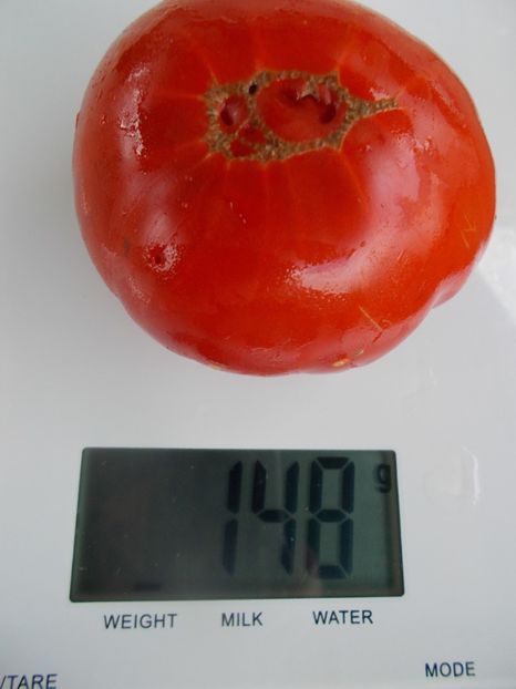  - SEMINTE ROSII - T 801 MARINDA