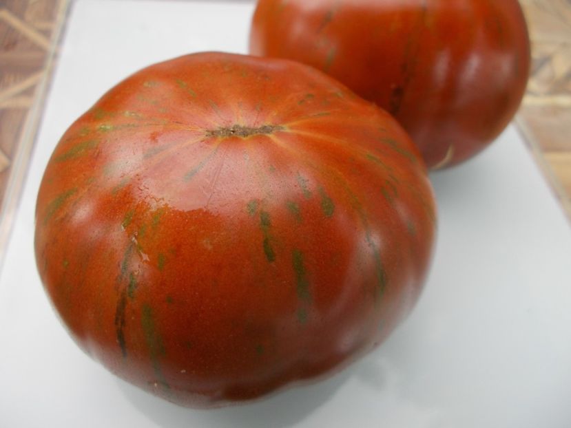  - SEMINTE ROSII - T 728 HERSEY BOAR