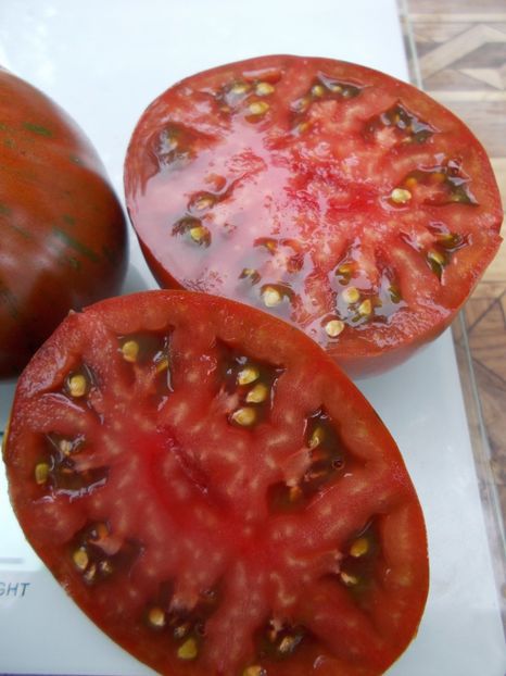  - SEMINTE ROSII - T 728 HERSEY BOAR