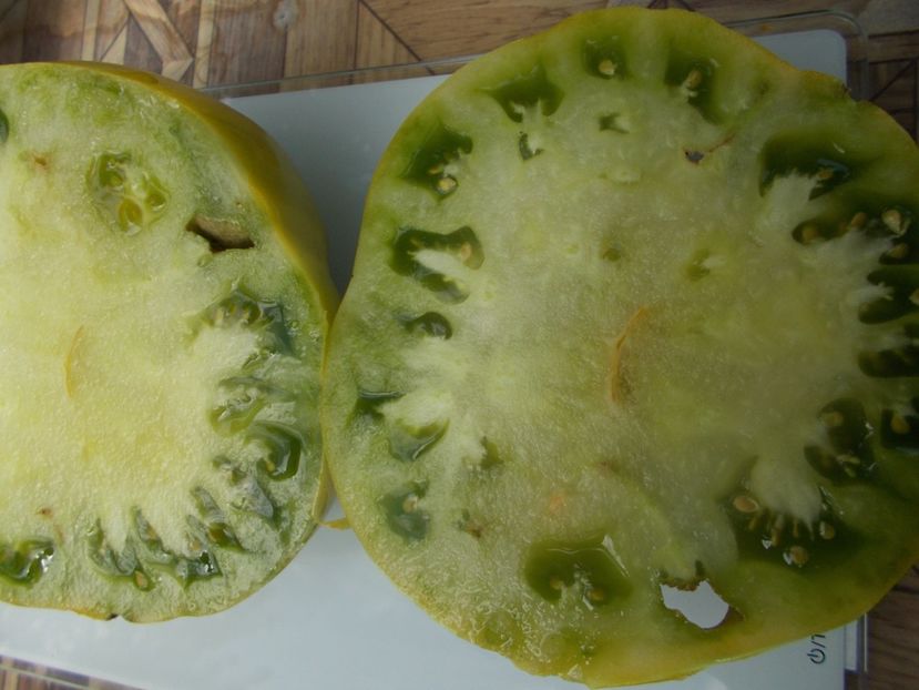  - SEMINTE ROSII - T 798 MOYA VERTE