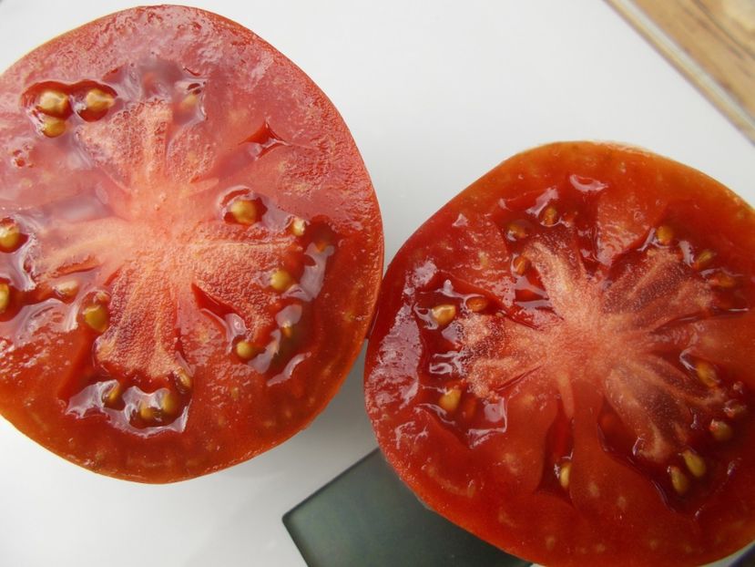  - SEMINTE ROSII - T 634 GREIL DWARF