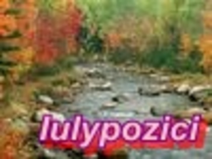 Iulypozici