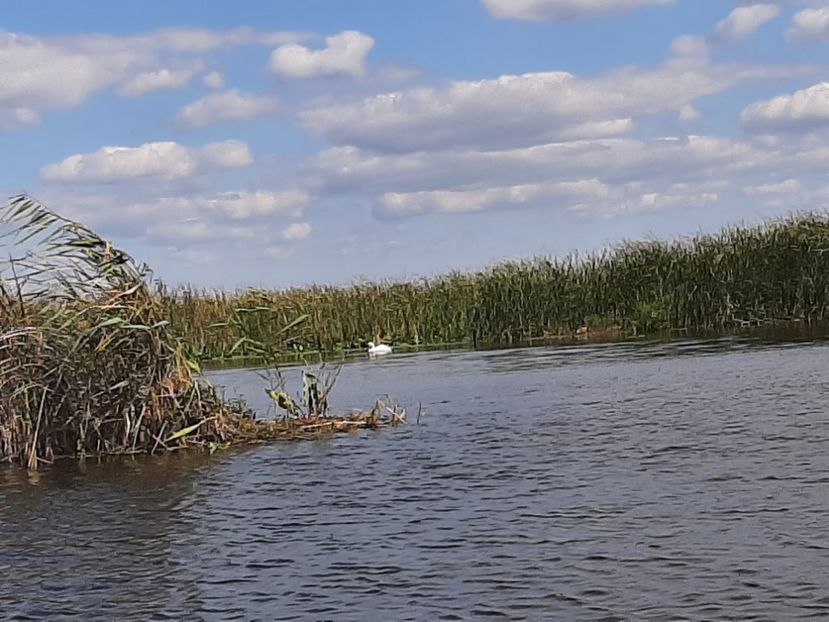  - Canalele Dunării