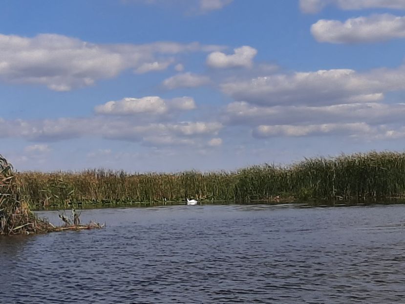 - Canalele Dunării