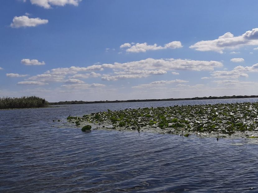  - Canalele Dunării