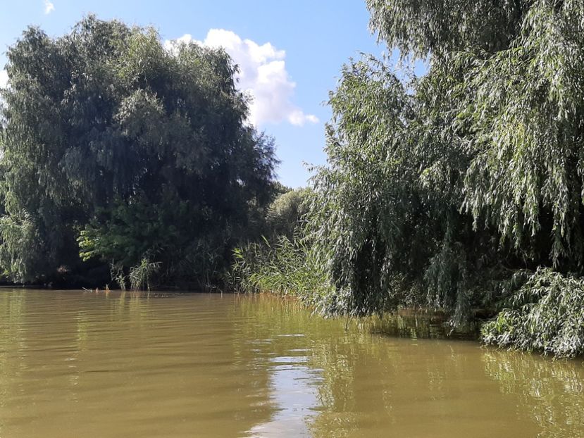  - Canalele Dunării