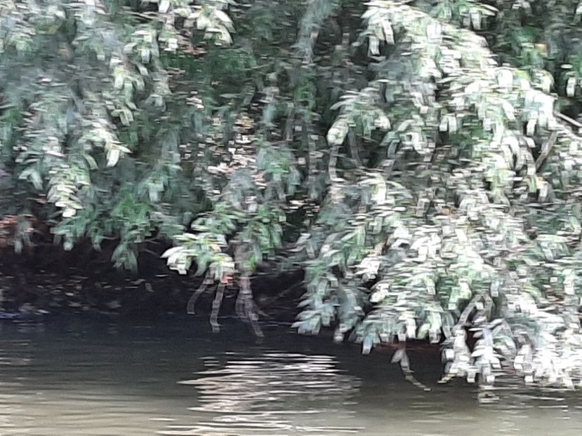  - Canalele Dunării