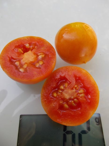  - SEMINTE ROSII - T 802 OKAIJI