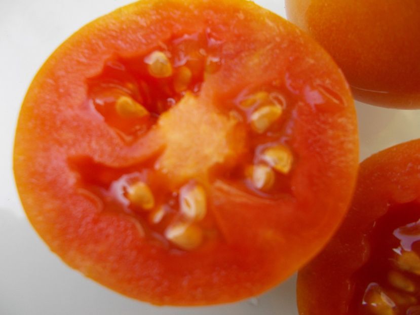  - SEMINTE ROSII - T 802 OKAIJI