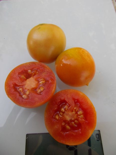  - SEMINTE ROSII - T 802 OKAIJI