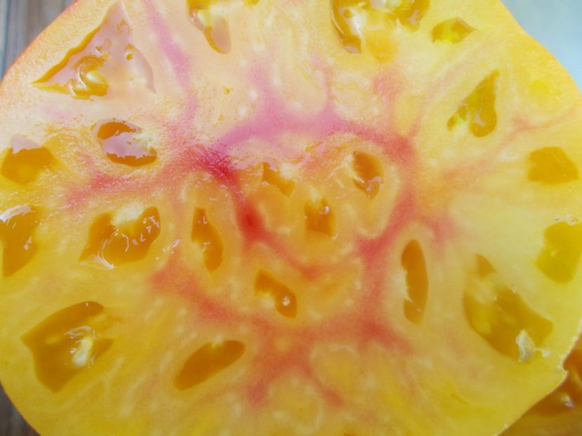  - SEMINTE ROSII - T 709 PAW PAW YELLOW