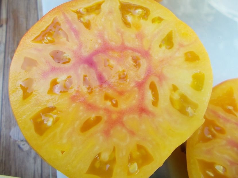  - SEMINTE ROSII - T 709 PAW PAW YELLOW