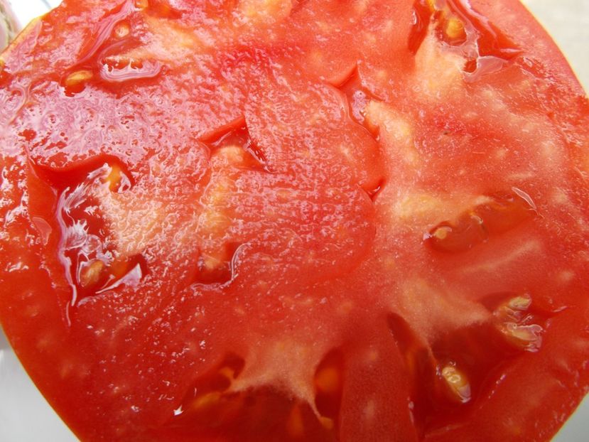  - SEMINTE ROSII - T 707 ALICE EGYPT