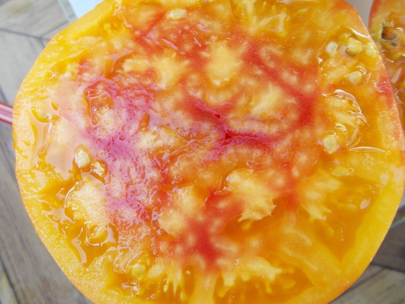  - SEMINTE ROSII - T 711 NORTHERN LIGHTS