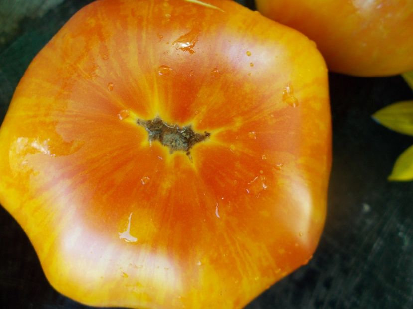  - SEMINTE ROSII - T 649 DOMAINE DE SAINT JEAN DE BEAUREGARD