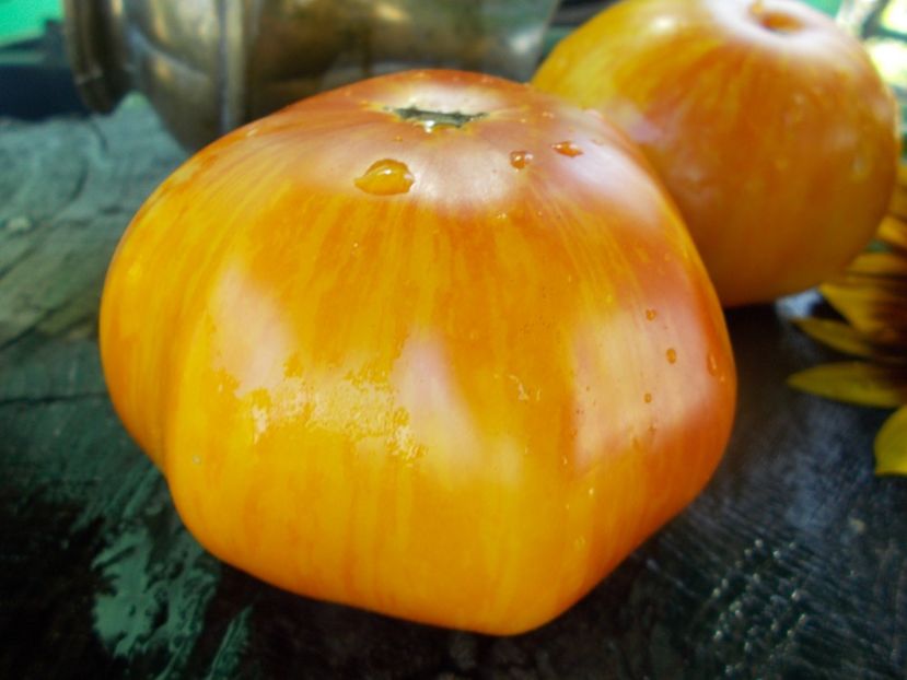  - SEMINTE ROSII - T 649 DOMAINE DE SAINT JEAN DE BEAUREGARD