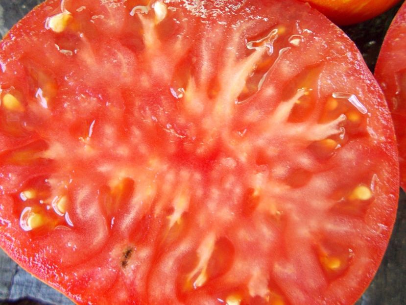  - SEMINTE ROSII - T 722 B B7 F4