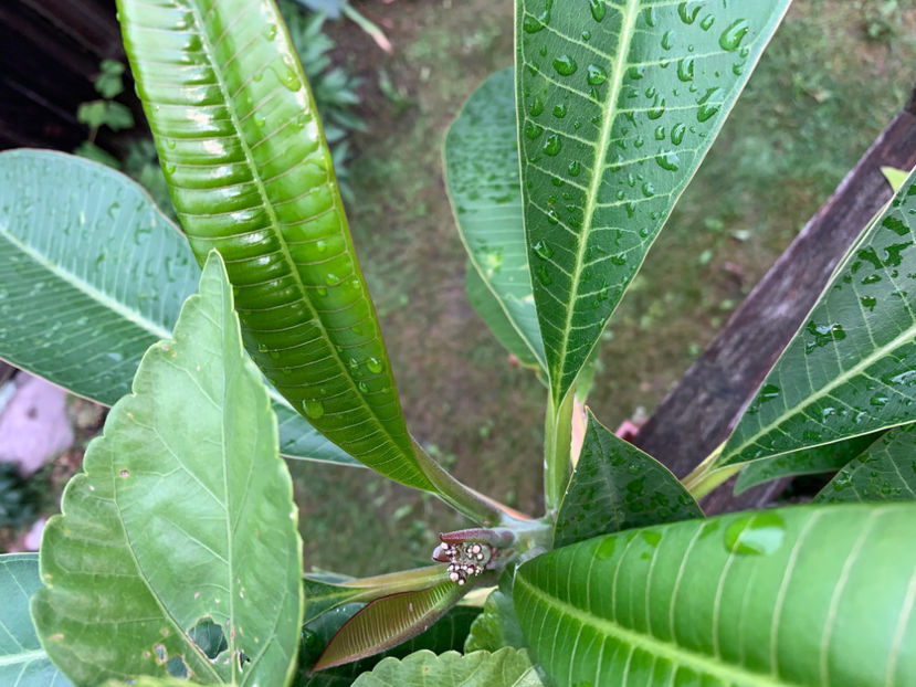 bobocei :) - Jurnalul gradinii 2021