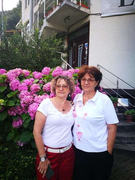 IMG-20210721-WA0019 - 2021 iulie Herculane