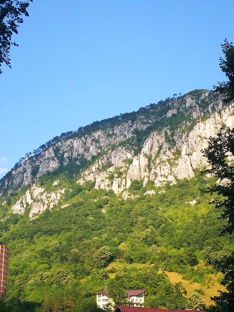 IMG-20210721-WA0021 - 2021 iulie Herculane