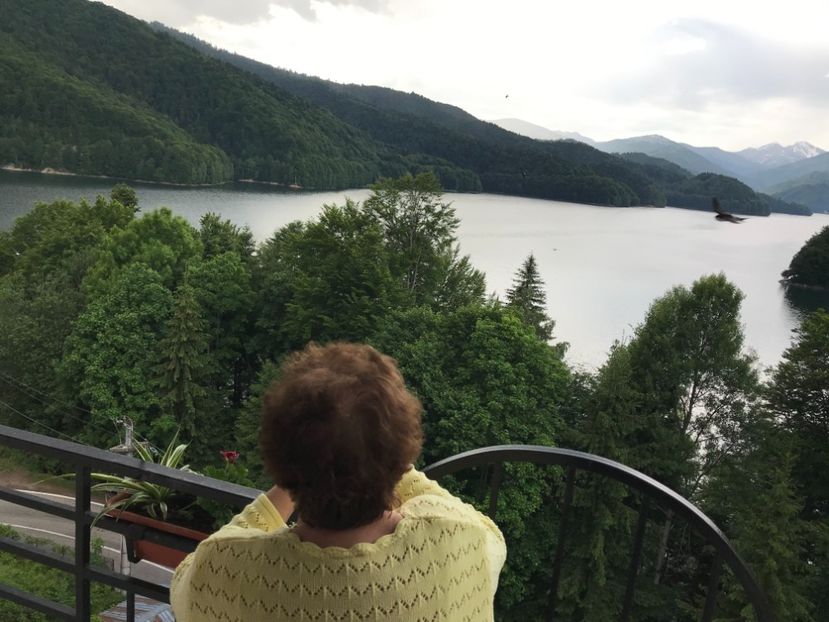 tantica 238 - vacanta Romania 2021