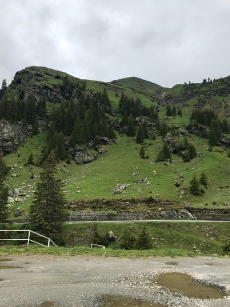 tantica 265 - vacanta Romania 2021