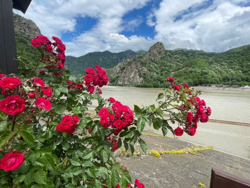 tantica 321 - vacanta Romania 2021