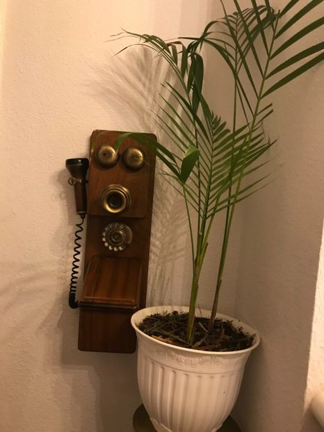 tantica 390 - vacanta Romania 2021