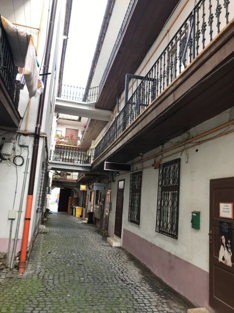 tantica 423 - vacanta Romania 2021