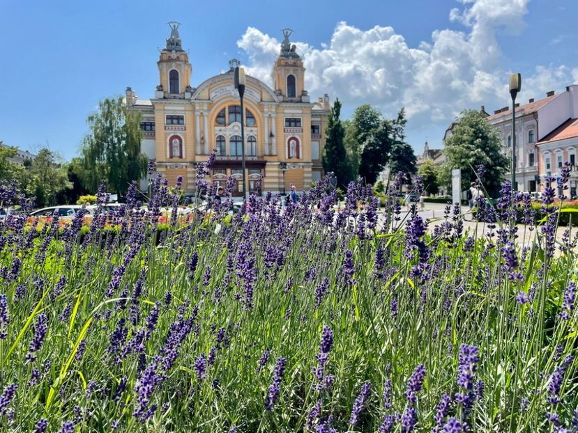 tantica 461 - vacanta Romania 2021