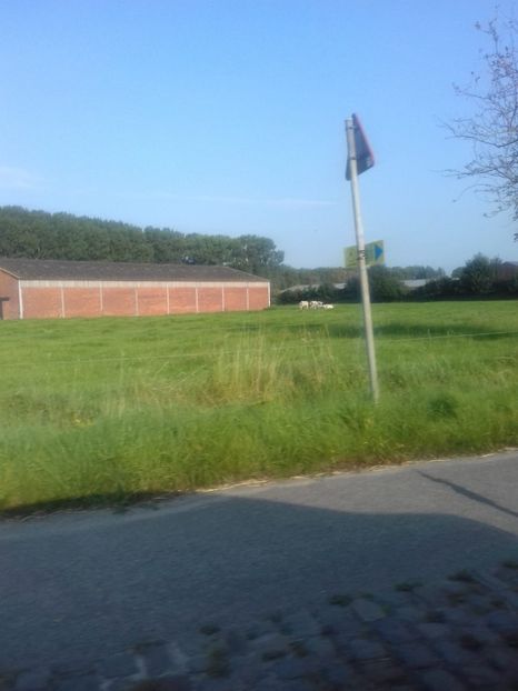 IMG-20210909-WA0044 - Belgia tati