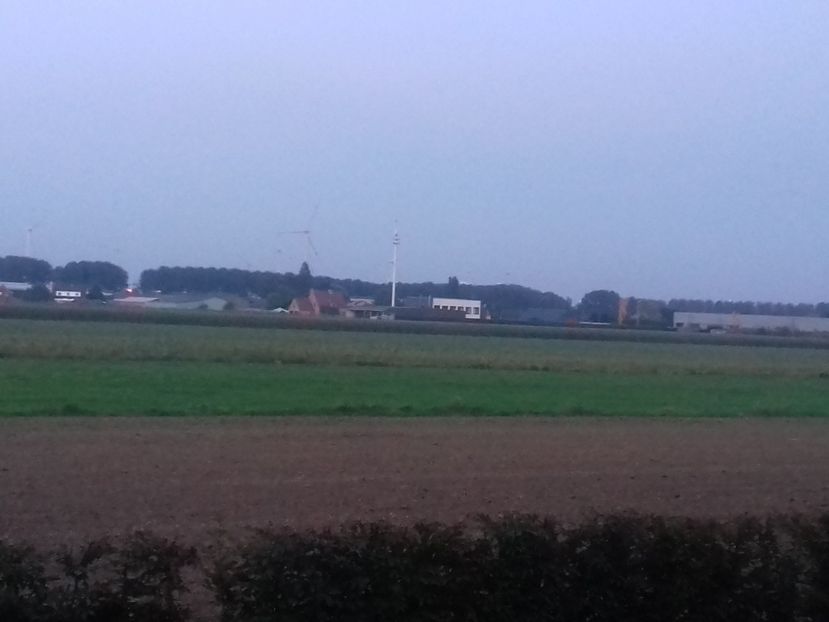 IMG-20210909-WA0054 - Belgia tati