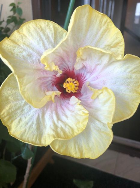 IMG-20210909-WA0020 - provizoriu