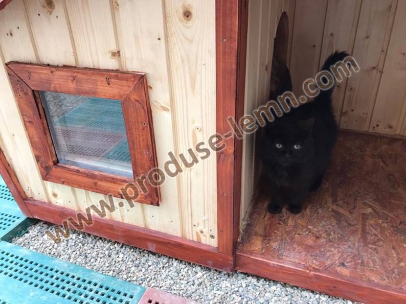  - 1 Custi cotete lemn --- REALIZATE