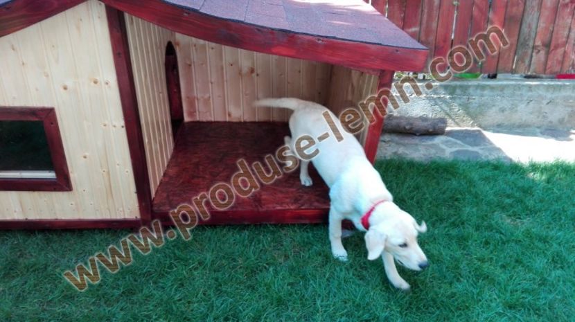 cusca cotet caine din lemn izolat termic (30) - 1 Custi cotete lemn --- REALIZATE