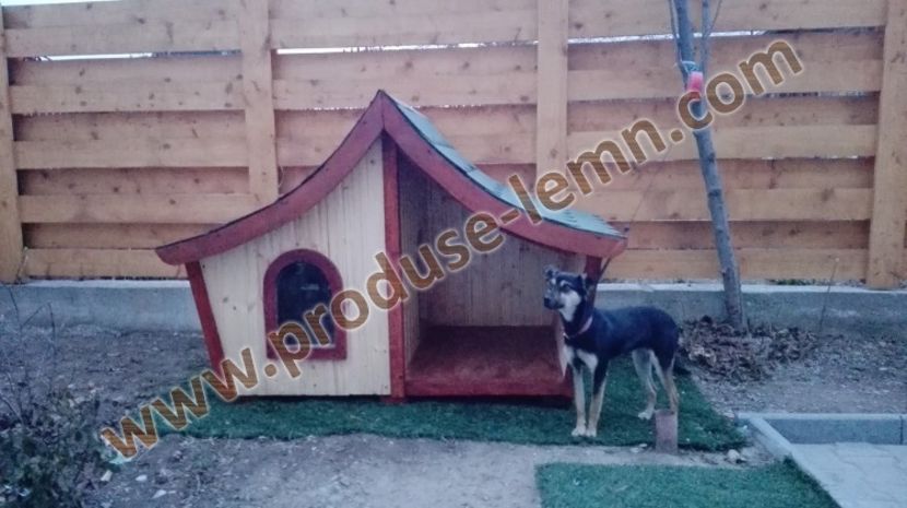 cusca cotet caine din lemn izolat termic (35) - 1 Custi cotete lemn --- REALIZATE