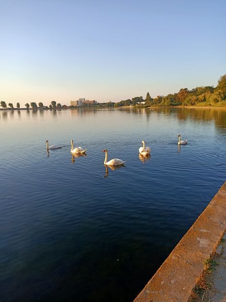 Img.2021.08.17 - F-Concediu