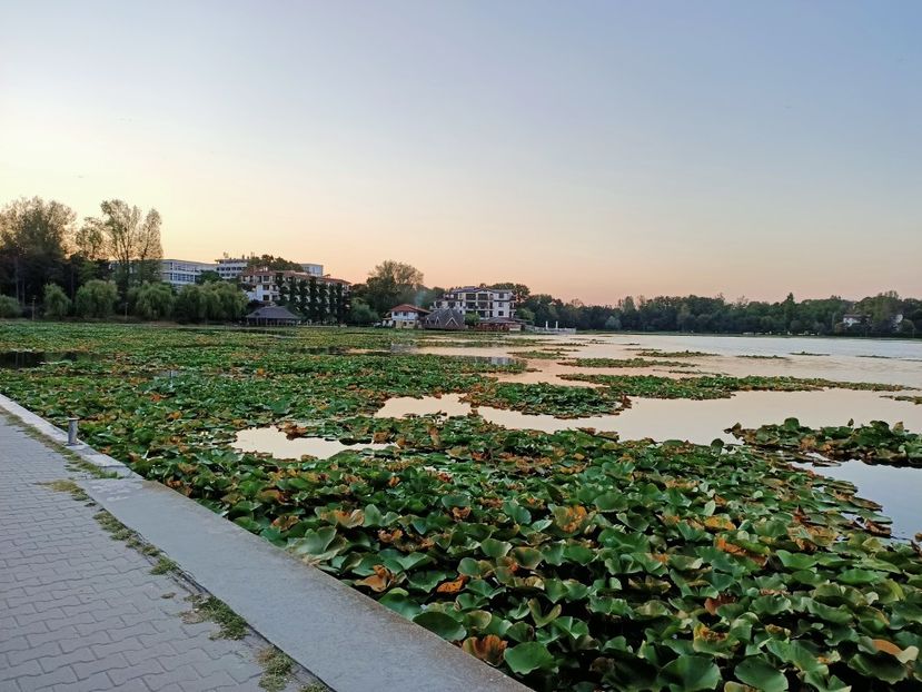 Img.2021.08.19 - F-Concediu