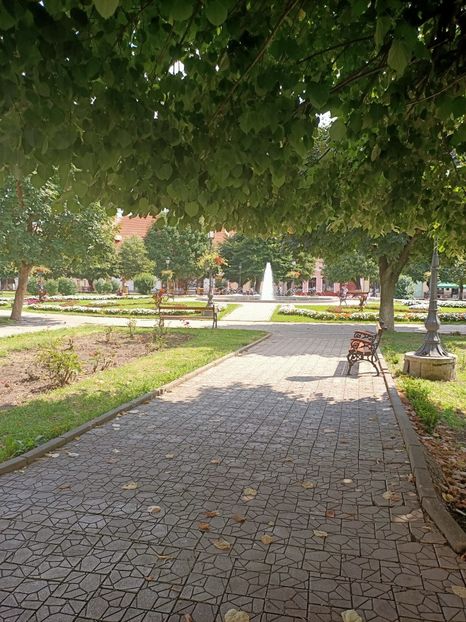 Img.2021.08.26-Mediaș - F-Concediu