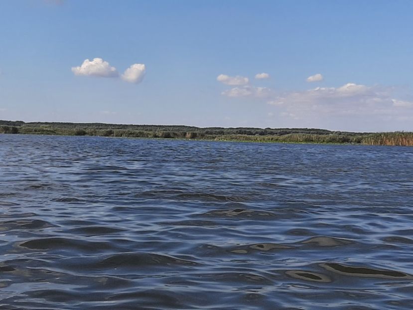  - Rezervația de nuferi Delta Dunării
