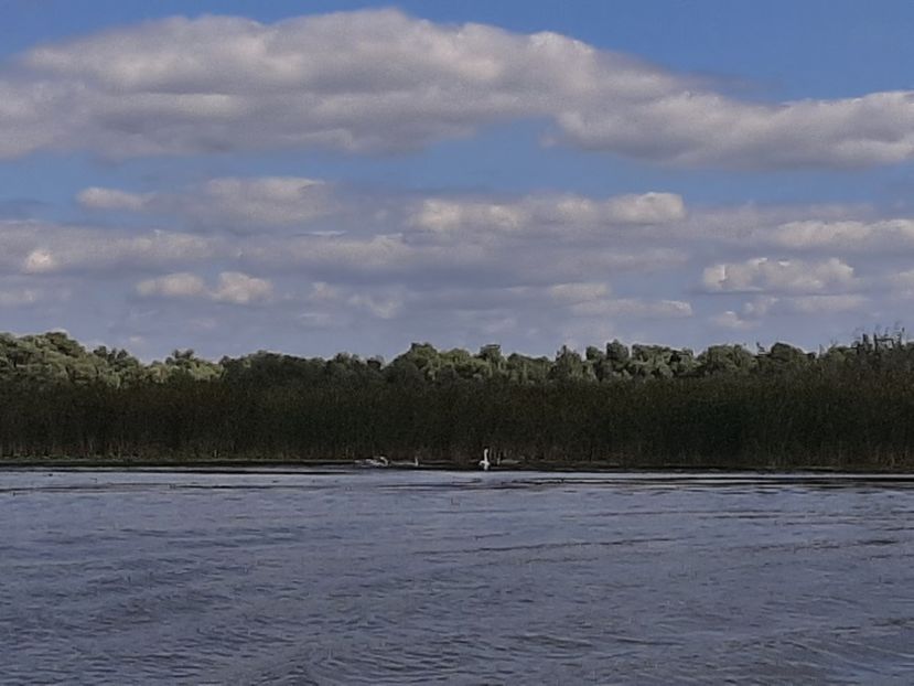  - Murighiol - Brațul Sulina