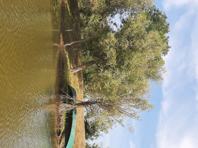  - Murighiol - Pădurea Letea