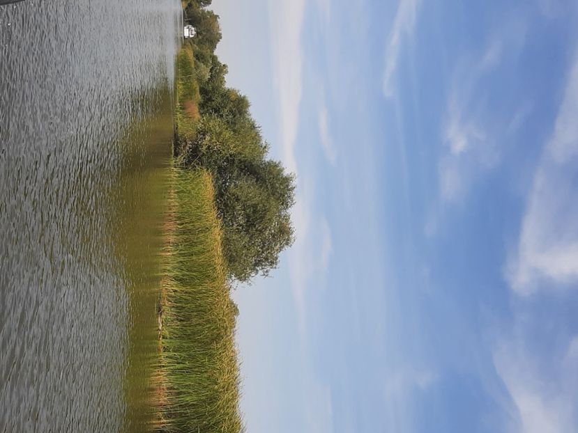  - Murighiol - Pădurea Letea