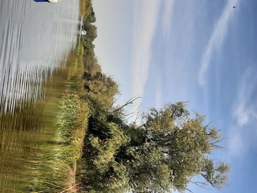  - Murighiol - Pădurea Letea