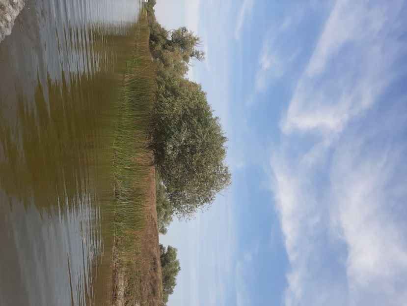  - Murighiol - Pădurea Letea