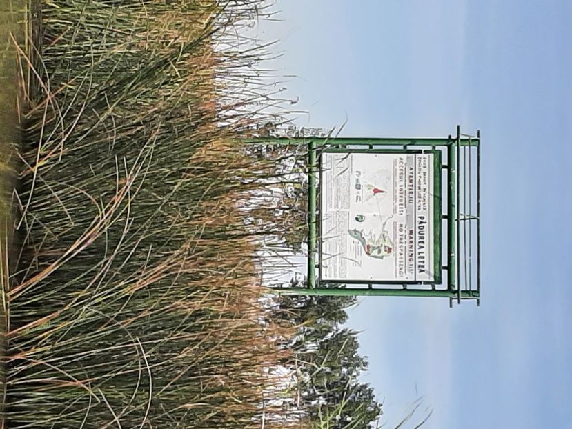  - Murighiol - Pădurea Letea