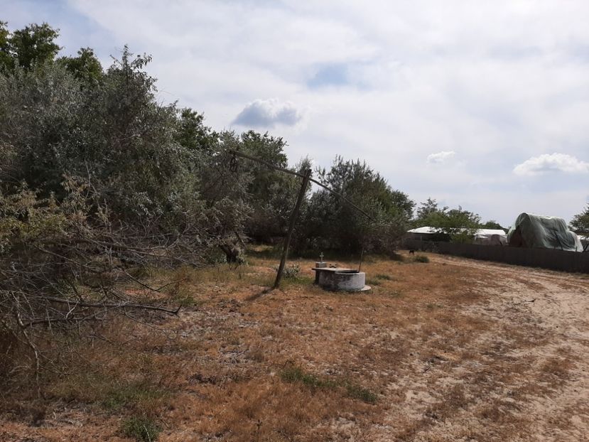  - Murighiol - Pădurea Letea