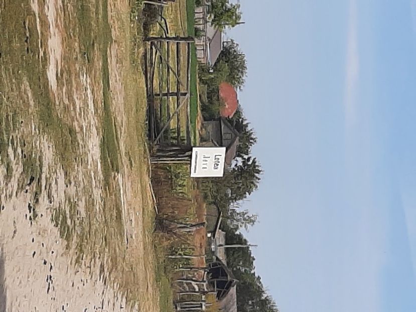  - Murighiol - Pădurea Letea