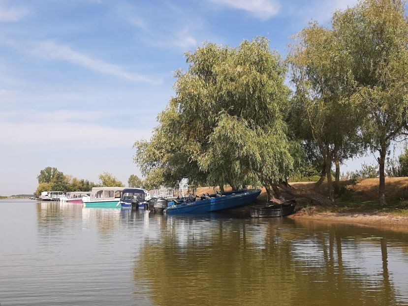  - Murighiol - Pădurea Letea